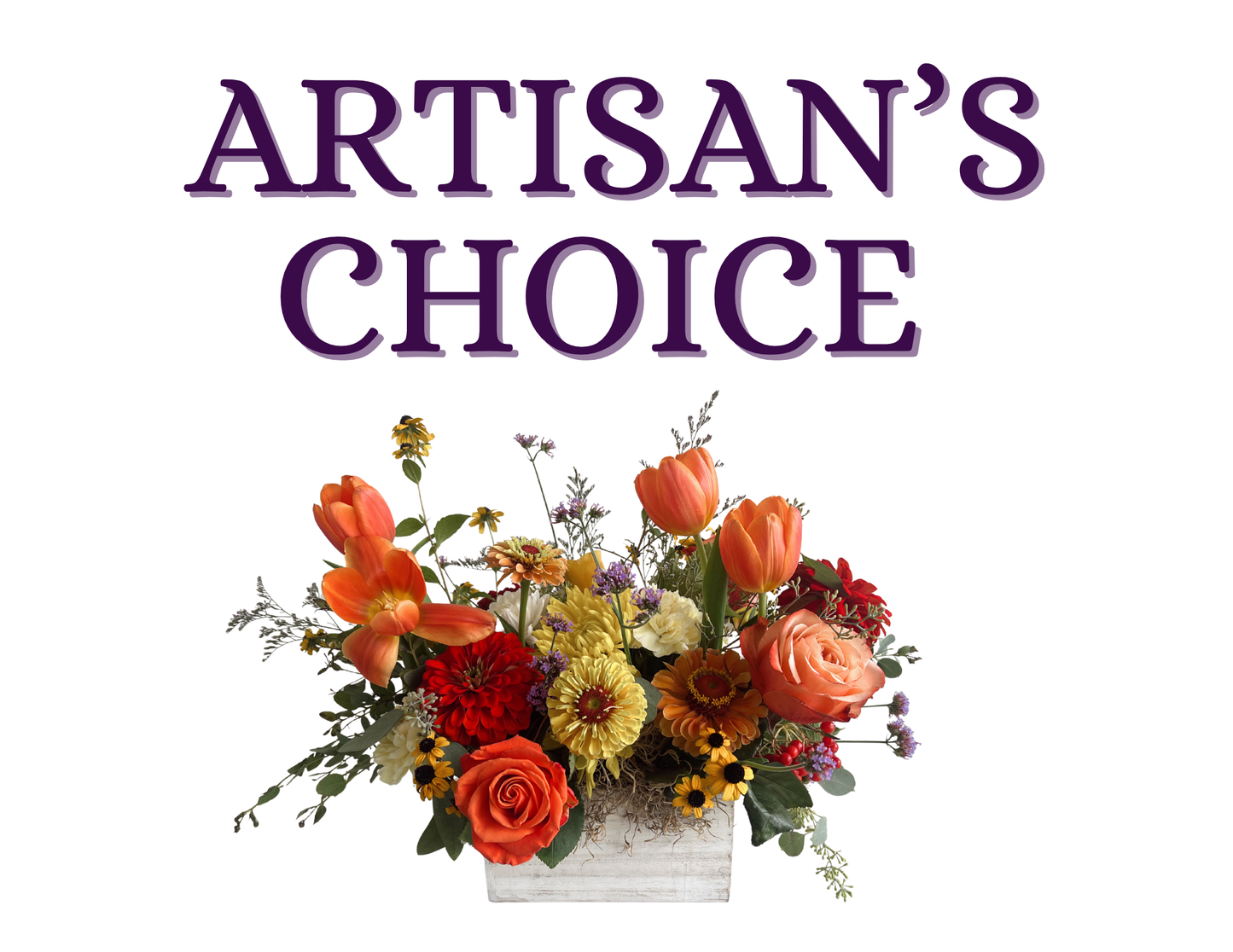 Artisan's Choice
