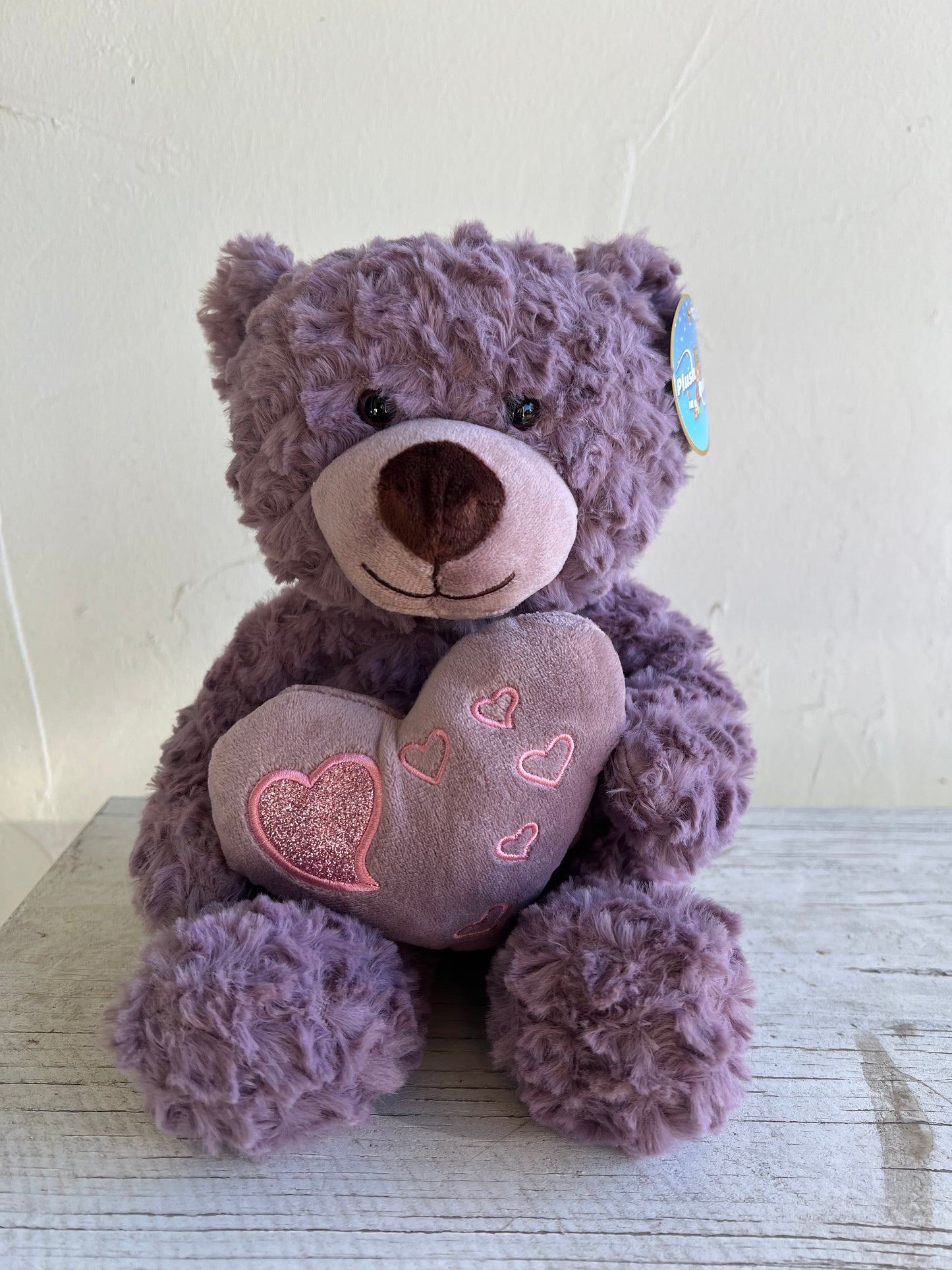 Pink/Purple Teddy Bear