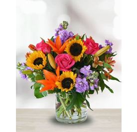 Sunburst Garden