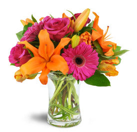 Vibrant Burst