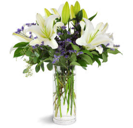 Elegant Whites