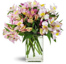 Lovely Lilies